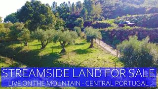 STREAMSIDE LAND FOR SALE - MOUNTAIN LIVING, FUNDAO, CENTRAL PORTUGAL