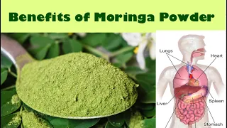 Moringa powder Health Benefits, Unlock the Power of Moringa Powder, Elevate Your Health, Health Tips