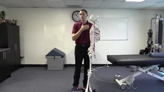 Can't Touch Your Toes?  Stop Stretching Your Hamstrings! - Watch First