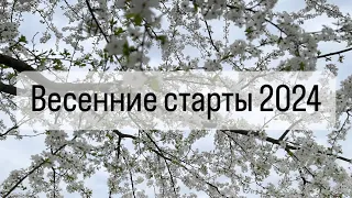 7 весенних стартов 2024 года.