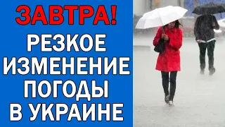 ПОГОДА НА 28 ОКТЯБРЯ : ПОГОДА НА ЗАВТРА