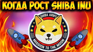 Когда Будет Рост Цены Монеты Shiba Inu - Начало Коррекции SHIB