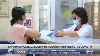 Клинические исследования новой казахстанской вакцины начались в Таразе