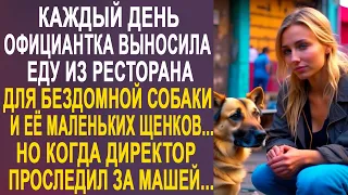 Каждый день официантка выносила еду из ресторана для собаки и щенков. Но когда директор проследил...