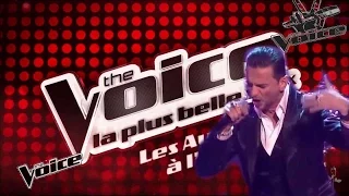 Depeche Mode VS The Voice (Heaven)....(ceci est une parodie !!!)