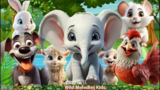 Animal Sounds Around Us: Elephant, Mouse, Dog, Chicken, Sheep | Animal Moments