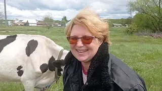 Огород, коровы.Отвечаем на вопросы