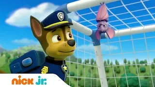 Щенячий патруль | Лучшее | Хороший спортсмен | Nick Jr. Россия