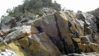 BRUNI ISLAND, TASMANIA . photo slideshow. wmv