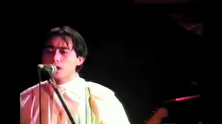 P-MODEL - HEAVEN (Live 1982) [60fps]