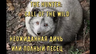 The Hunter  Охота на ПЕСЦА!