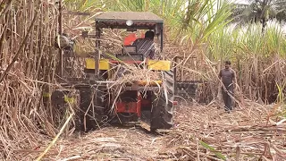 Sugarcane Harvester contact No 9373532074