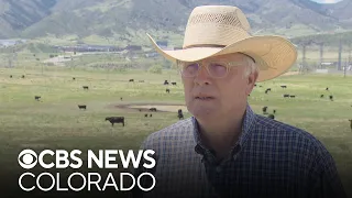 Newborn calves helping with fire prevention in Douglas County