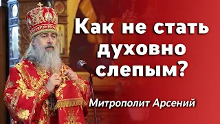 Проповедь митр. Арсения в Неделю 6-ю по Пасхе о слепом 29.5.22 г.