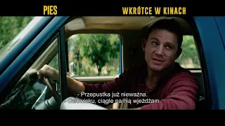 Pies - Zwiastun PL (Official Trailer)