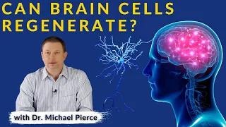 Can Brain Cells Regenerate?