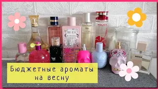 БЮДЖЕТНЫЕ ПАРФЮМЫ на ВЕСНУ 🌸1 часть