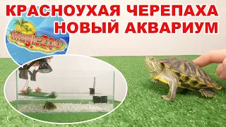 Красноухая черепаха, уход и содержание дома. Как сделать аквариум для красноухой черепахи.