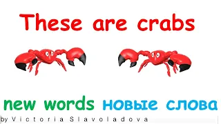 these are crabs (это крабы). Learning  new words: crab, raining, turtle, dolphin, camera.