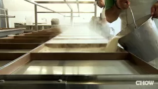 Crazy Tofu Making at Hodo Soy Beanery