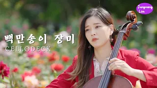 [4K] 백만송이 장미🌹🌹🌹 | 첼로댁 CelloDeck [중랑라이브]