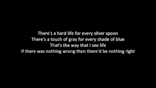 Shinedown - What A Shame With Lyrics