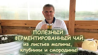 СЕКРЕТЫ ФЕРМЕНТИРОВАННОГО ЧАЯ ОТ А ДО Я!!! - Андрей Гренок