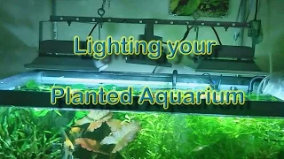 Lighting a Planted Aquarium