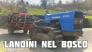 IL LANDINI 4500 NEL BOSCO!