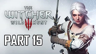 The Witcher 3: Wild Hunt Walkthrough Part 15 - Ciri (PC Let's Play Commentary)