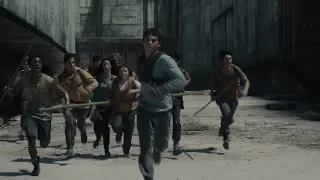 Thomas leads the way through The Maze [The Maze Runner]