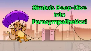 Simba’s Deep-Dive into Parasympathetics! (Step 1, COMLEX, NCLEX®, PANCE, AANP)