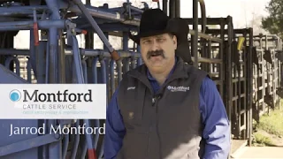 Montford Cattle Service