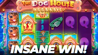 The MOST INSANE Dog House MEGAWAYS Setup EVER... (MY BIGGEST WIN!)