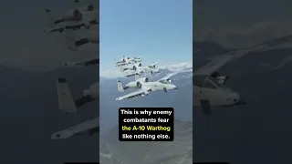 Why Everyone is Afraid of the A-10 Warthog