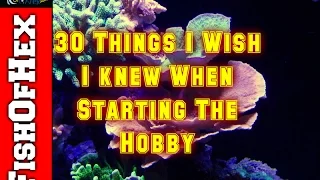 30 Things I Wish I Knew About The Saltwater Hobby When Starting Out