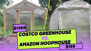 Costco Greenhouse vs Amazon Hoop House: Which is Better?🌻🌸🌺