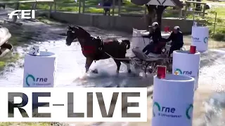 RE-LIVE | Marathon - FEI Driving World Championship 2022 for Singles