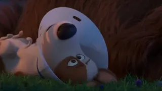 The secret life of pets 2 (9/20) max is Afrad of noise scene Gio Channel