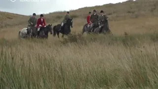 Deer hunt filmed chasing and whipping a stag