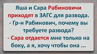 ✡️ Яша Рабиновичи Потребовал от Сары Развода! Анекдоты про Евреев! Выпуск #87