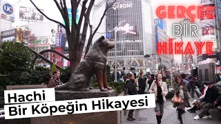 İnanılmaz Bir Hikaye ve Muhteşem Uyarlanmış Bir Film - Hachiko - Hachi Bir Köpeğin Hikayesi