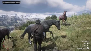 Get a Horse Out of Map : Red Dead Redemption 2