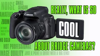 WHAT'S COOL ABOUT BRIDGE CAMERAS? | AFFORDABLE ENTRY INTO PHOTOGRAPHY FOR BEGINNERS