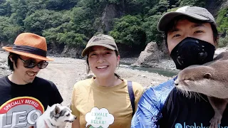 Camping with Instagrammer, Yoshimi Lynn and Omichan at Noro Lodge[Otter life Day 288]【カワウソアティとにゃん先輩】