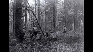 Día D a Berlín, la ultima batalla de Hitler "El bosque de la muerte"cap2 (Segunda guerra mundial)ww2