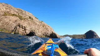 My Biggest Fear - Kayaking Into St.John’s