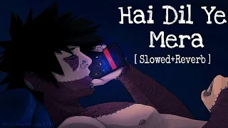 Hai Dil Ye Mera  Slowed + Reverb Song | Sad - Lofi  Arijit Singh  Hate Story 2 Movie