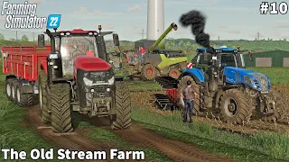 Placing Bulls & Ram, Corn Harvesting, Ploughing│The Old Stream│FS 22│Timelapse#10
