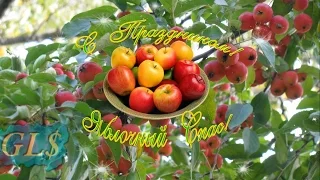 Яблочный Cпас Spas Красивое поздравление Православный праздник Преображение Господне Видео открытка